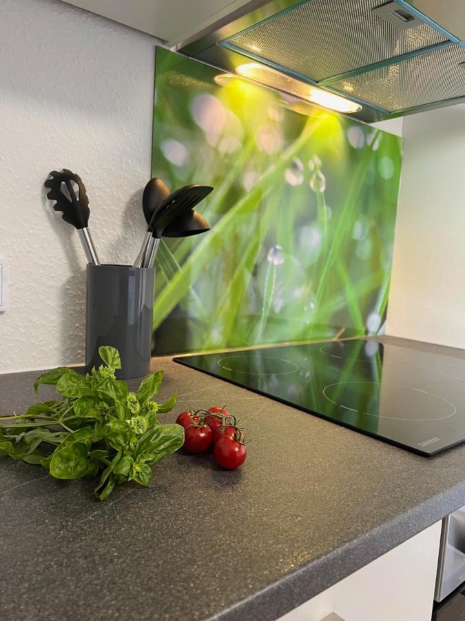 Apartment Ferienwohnung Oberursel *
